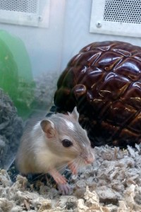 An example photo from The Photo Album